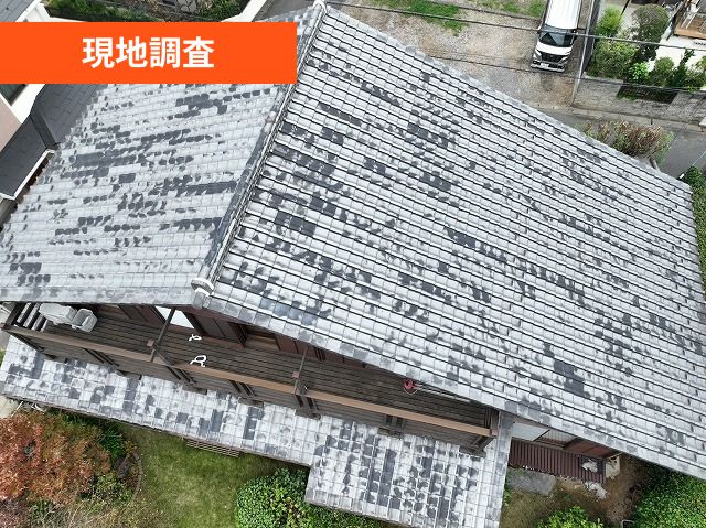 現地調査　